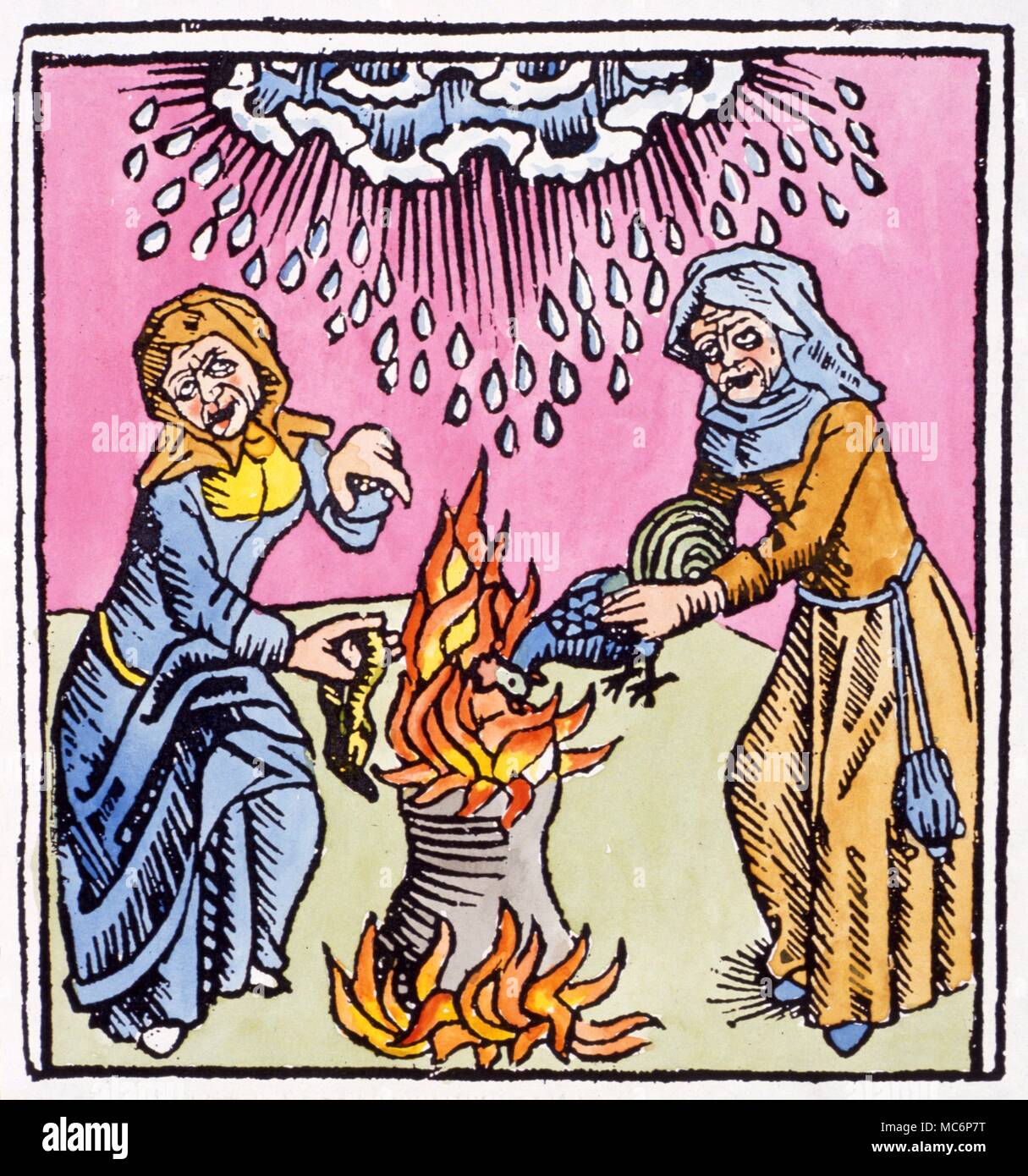 Witches practising a magic spell to make rain, from Ulrich Molitor, 'De Lamiis et Phythonicis Mulieribus,' 1489. STRANGE PHENOMENA Manufactured rain. Witches practising a magic spell to make rain. from Ulrich Molitor's De Lamiis et Phitonicis Mulieribuss. 1489 WITCHCRAFT - Witches incantating around a cauldron, sacrificing various animals and birds, in order to make rain. From Ulrich Molitor De Lamiis et phitonicis mulieribus, 1489 Stock Photo