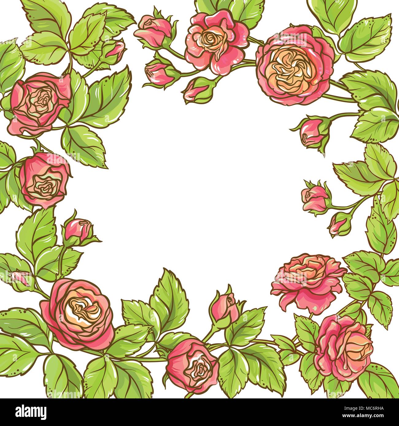 rose branch vector frame on white background Stock Vector Image & Art ...