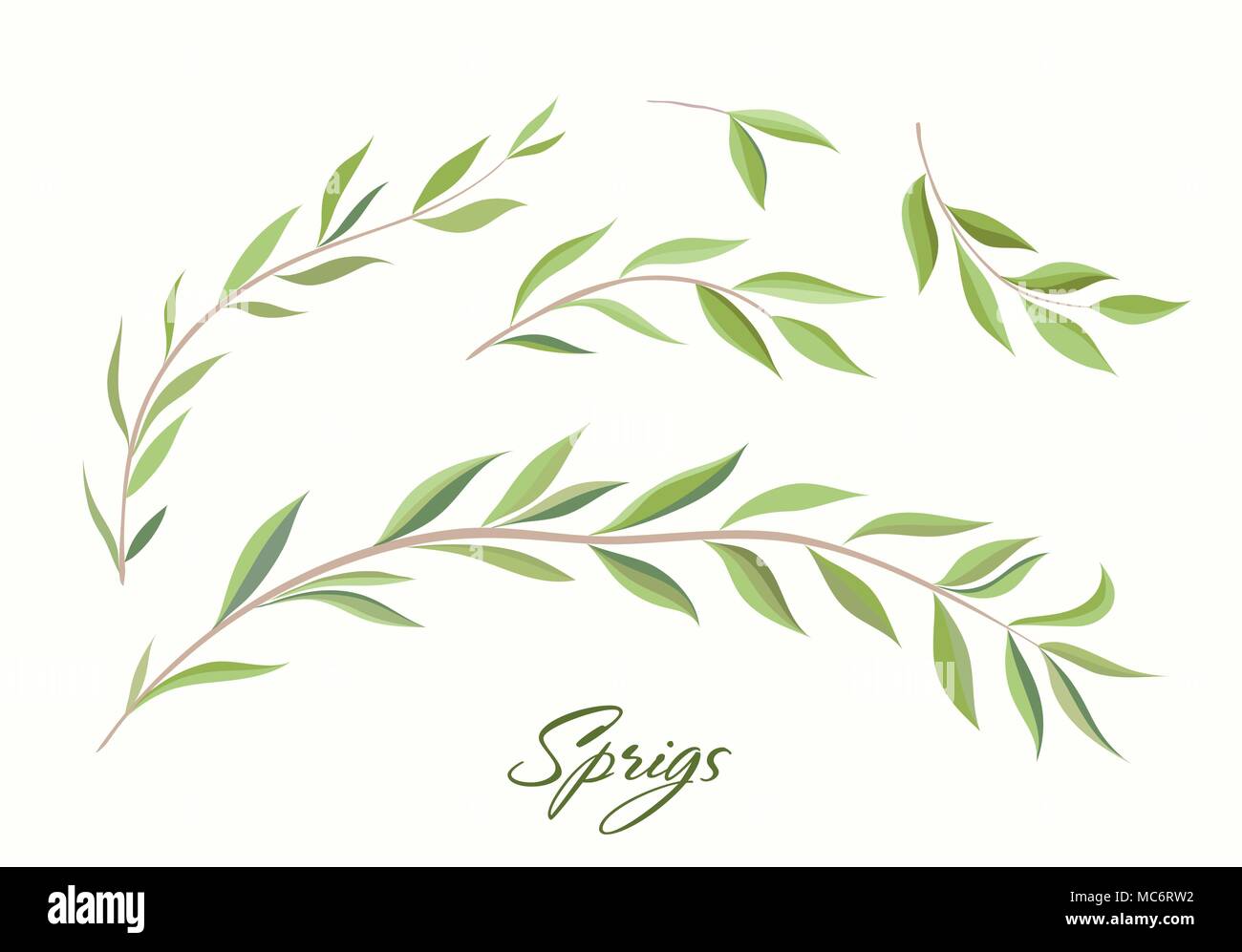 Handdrawn Vector Watercolour style, nature illustration. Set of  leaves and branches, Imitation of watercolor, isolated on white.   Stock Vector