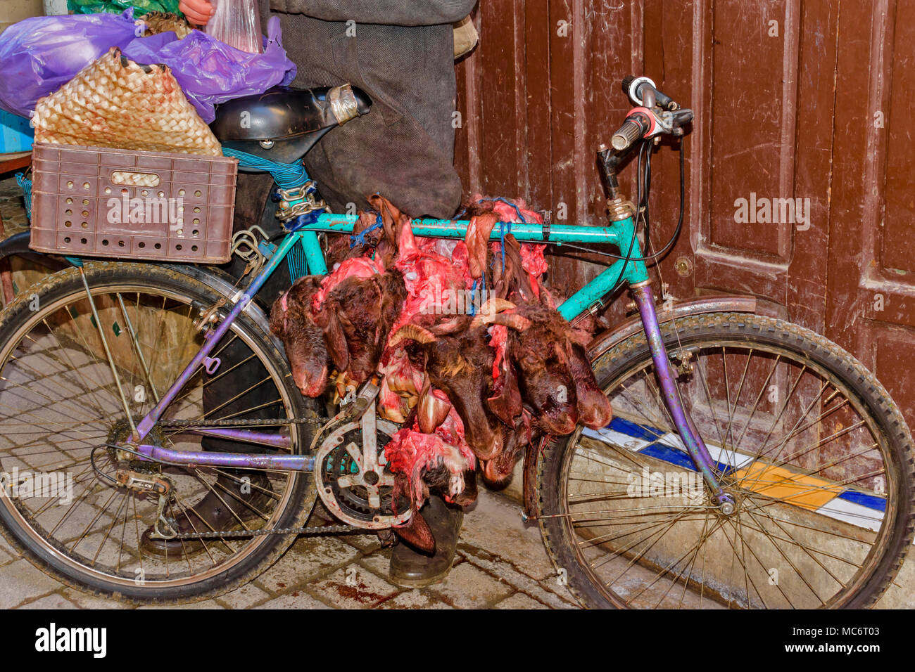 MOROCCO FES MEDINA SOUK MARKET BICYCLE WITH SEVERED GOATS HEADS AND FEET FOR COOKING Stock Photo