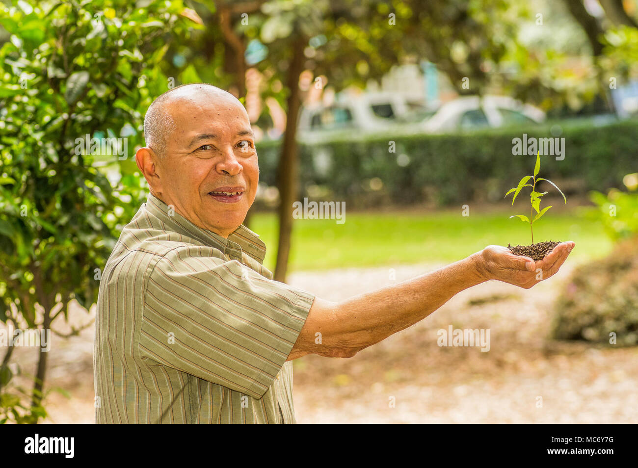 Close up of man using one hand holding and caring a young green plant ...