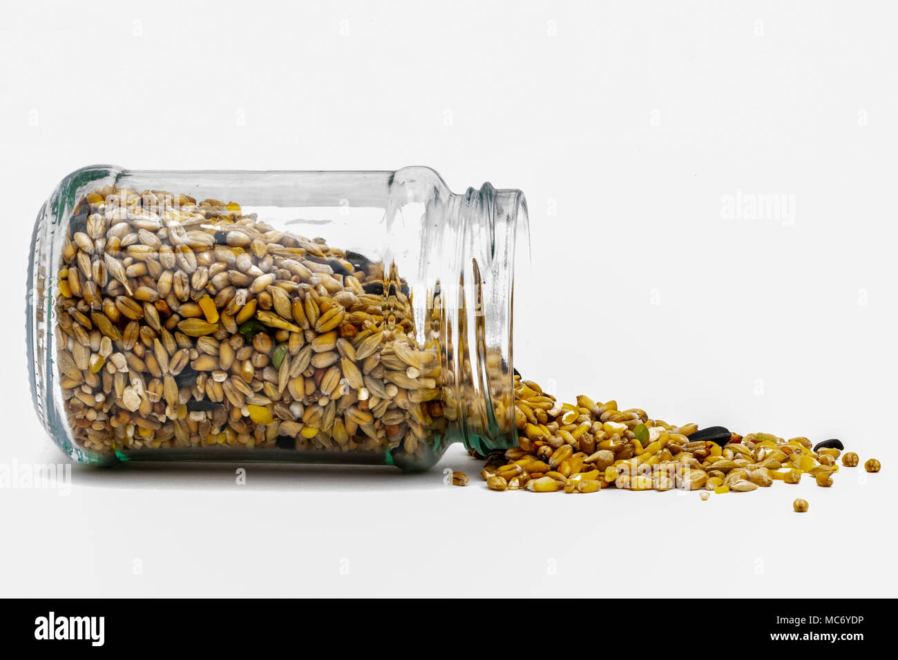 Bird seed in clear glass jar Stock Photo Alamy