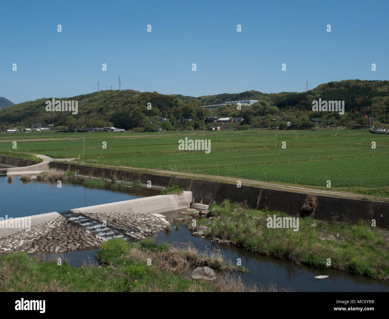 Rural landscape, winter grain crop and flood control  river management,  Kunisaki, Oita, Kyushu, Japan Stock Photo