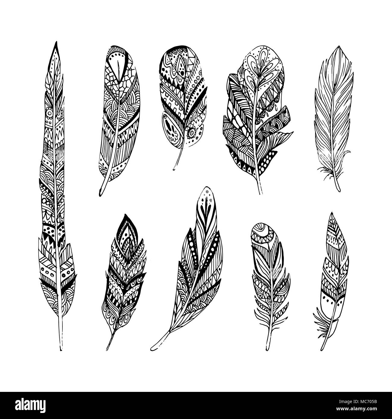 vector feathers in boho style. Isolated on white background Stock ...