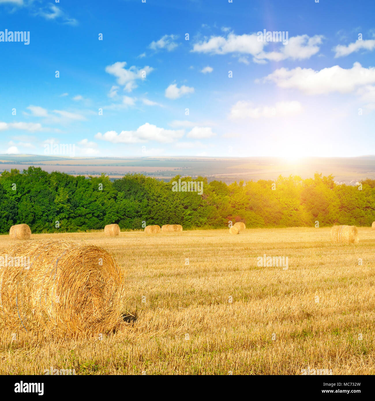 Straw bales on a wheat field and sunrise on blue sky Stock Photo - Alamy