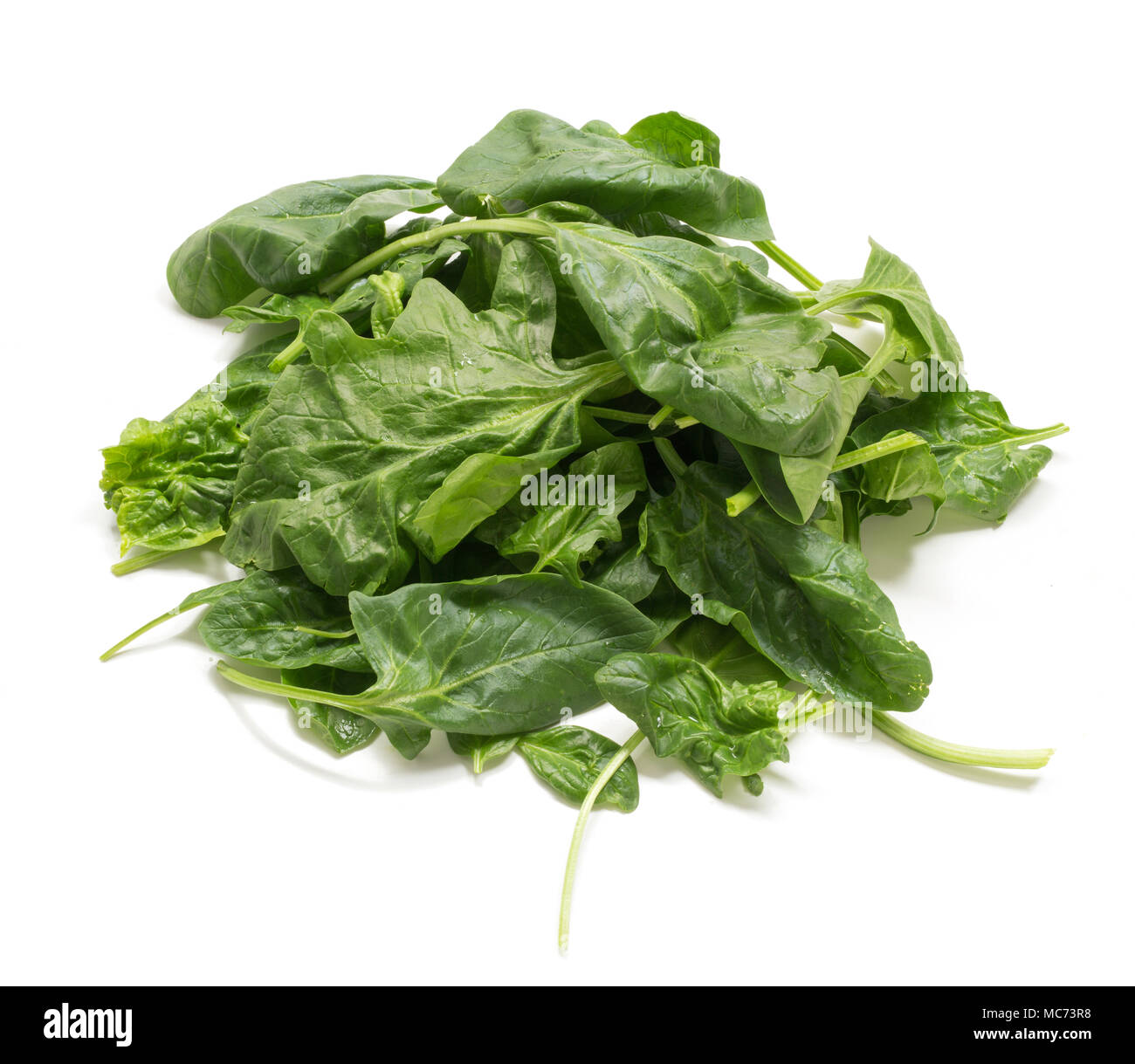 bunch of fresh spinach ready to cook on white background Stock Photo ...