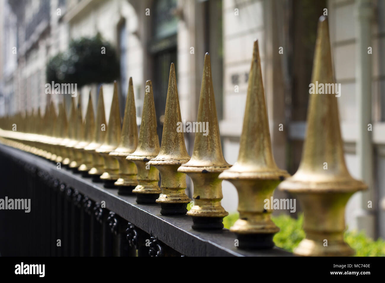 perspective horizontal view of golden painted iron fence spikes
