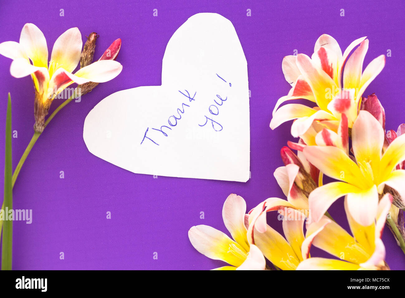 Thank you note flowers hi-res stock photography and images - Alamy