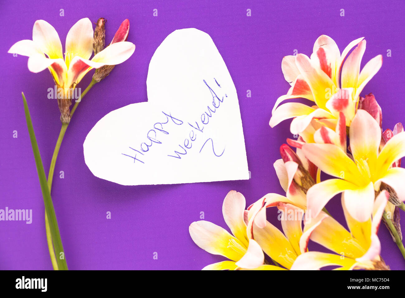 Note in shape of heart with words "Happy Weekend!" with flowers on purple surface. Stock Photo