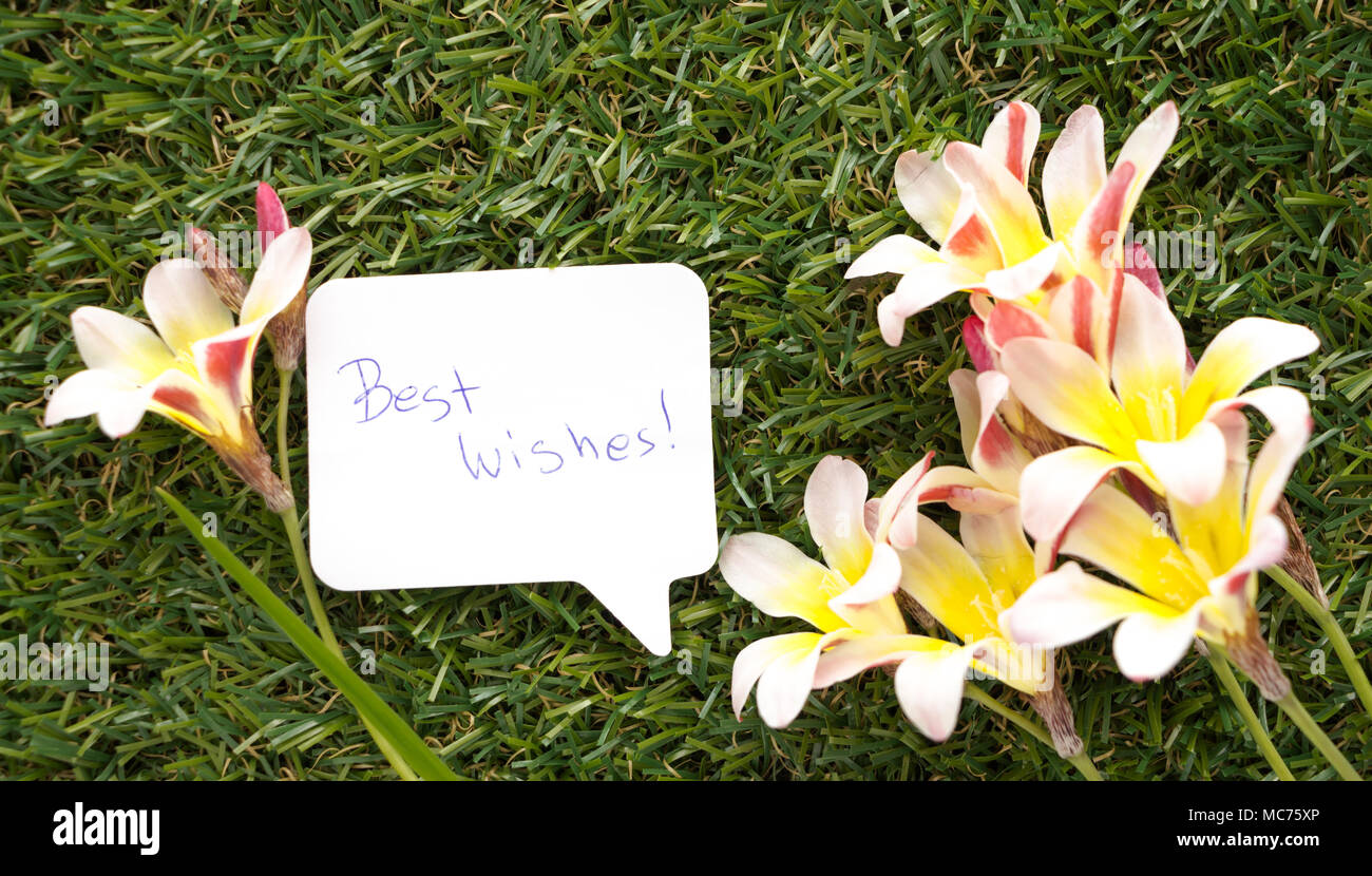 Best wishes with flowers hires stock photography and images Alamy