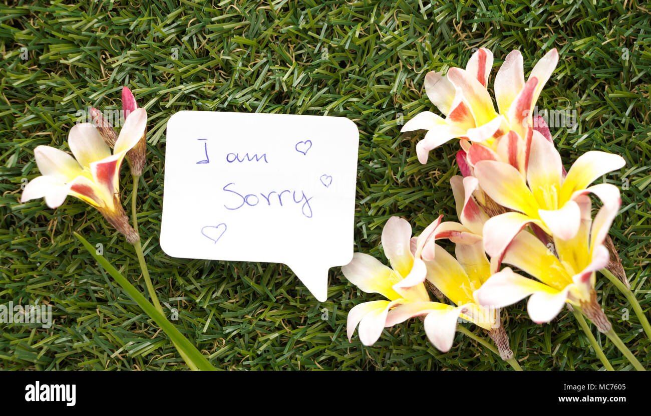 Note in shape of a chat bubble, with words I am sorry! and flowers on green grass. Stock Photo