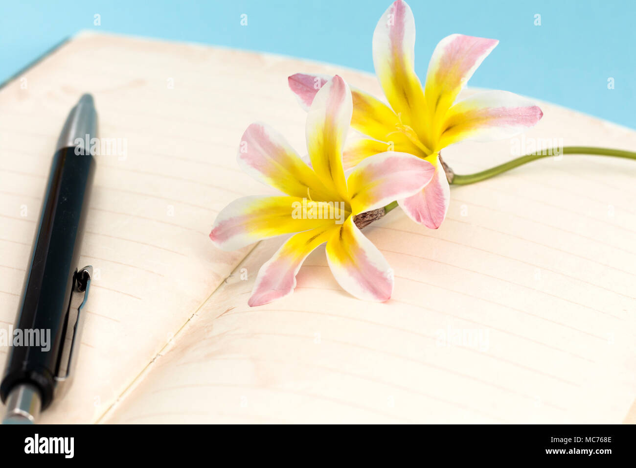 Spring Open Diary Colorful spring flowers, with blank open diary pages and pen, closeup ...