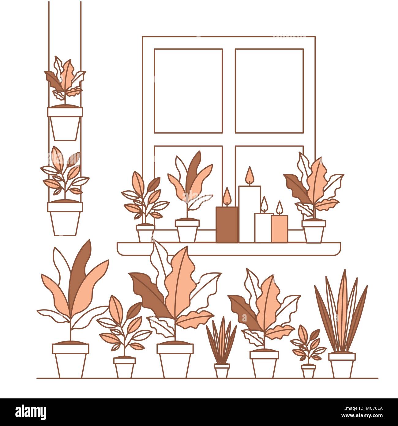 group of houseplants home decorations Stock Vector Image & Art - Alamy