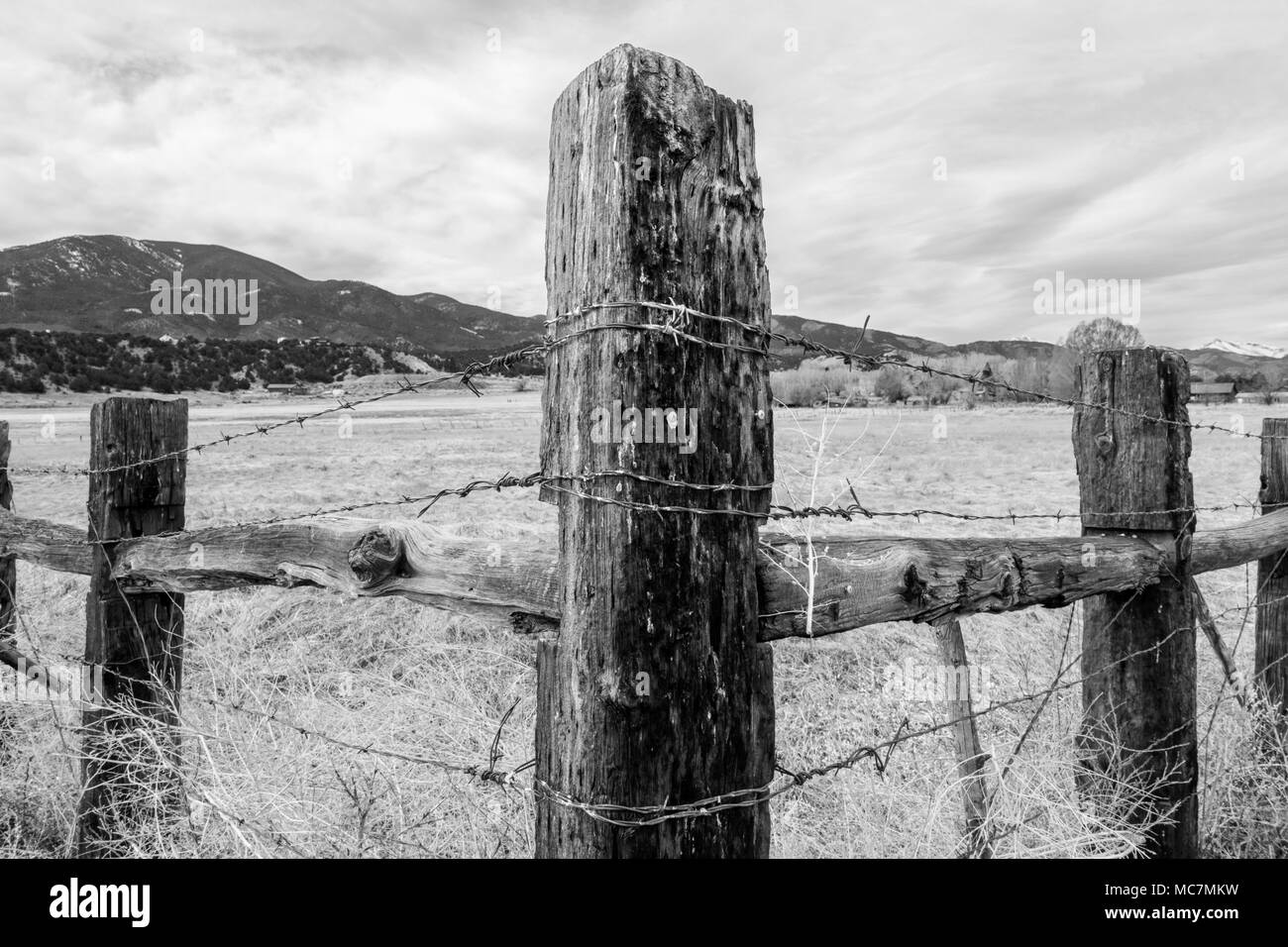 Black & white of wooden fencepost and barbed wire; Vandaveer Ranch; Salida; Colorado; USA Stock Photo