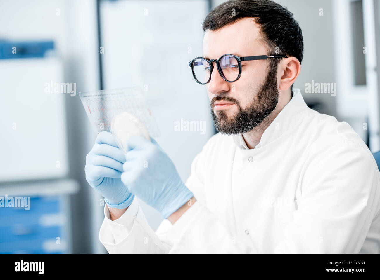 Male laboratory assistant working with bacteria in petri dish in the