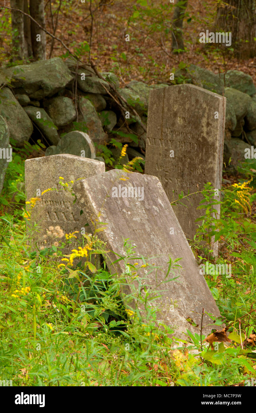 Barn Island Wildlife Management Area Stock Photos Barn Island