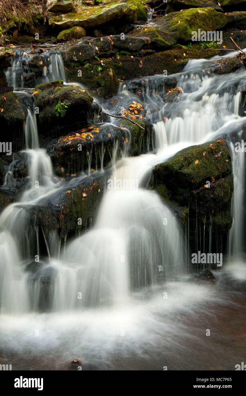 Day Pond Brook Falls, Salmon River State Forest, Connecticut Stock