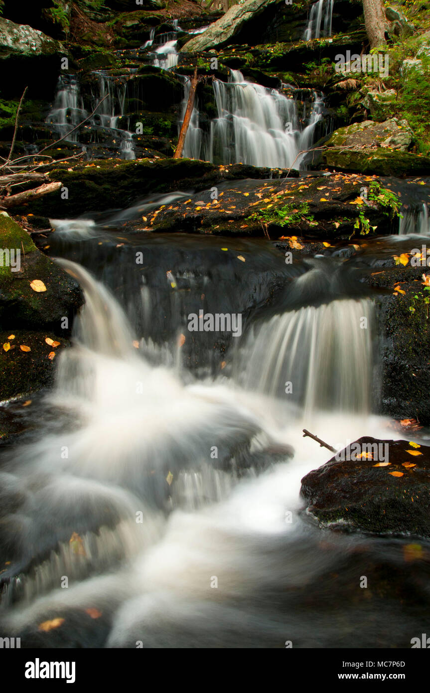 Day Pond Brook Falls, Salmon River State Forest, Connecticut Stock