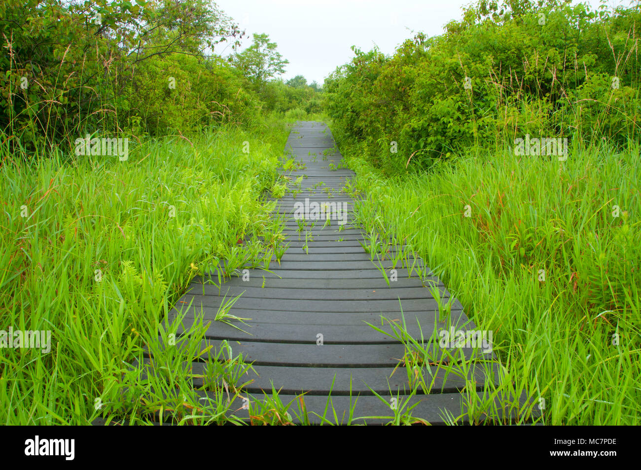 Major michael donnelly land preserve hires stock photography and