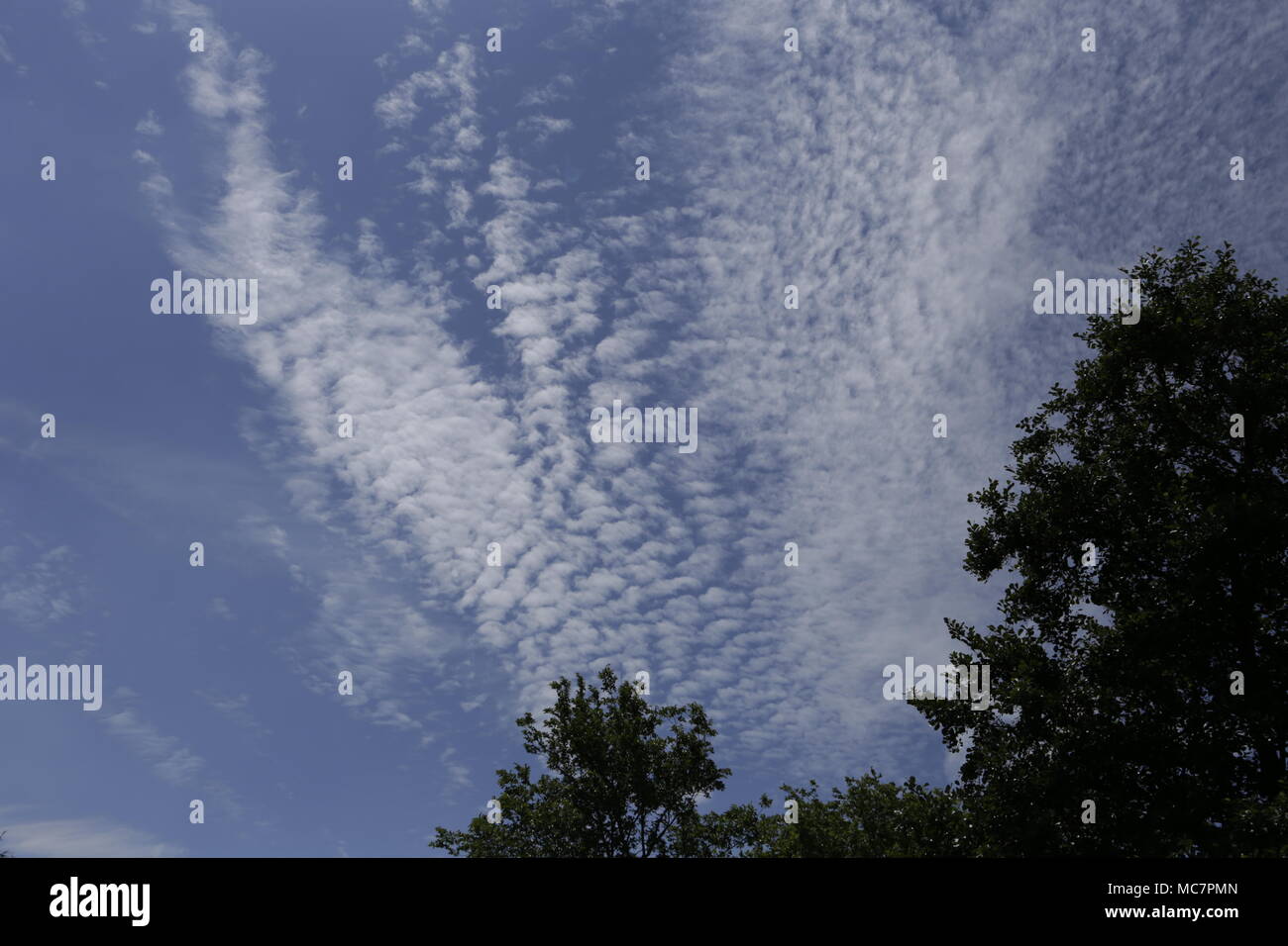 Clouds in the sky in many shapes Stock Photo - Alamy