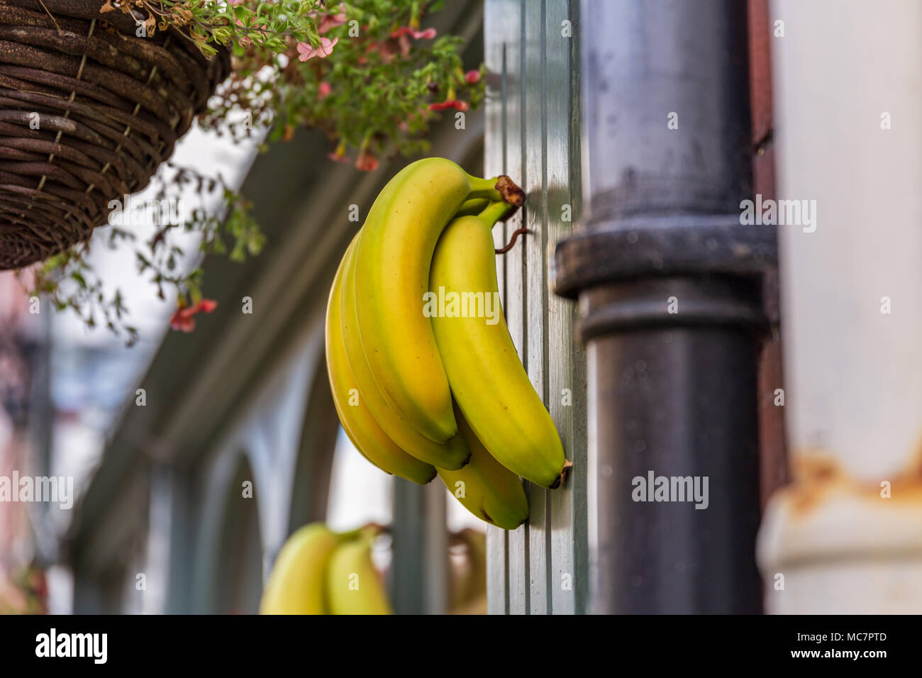 Bananas on wall hires stock photography and images Alamy