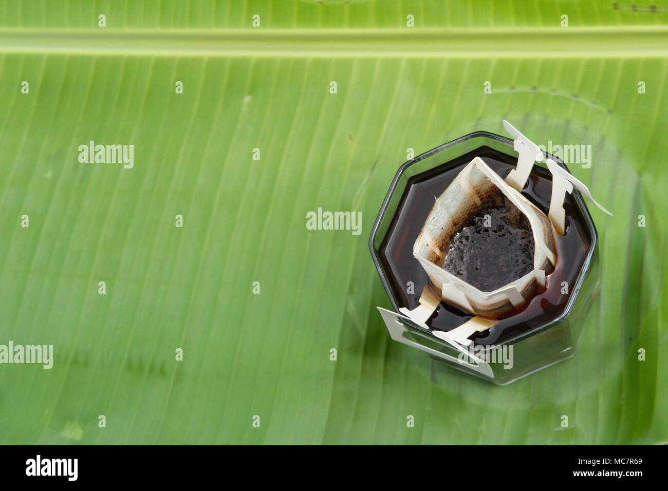 Barista making hand drip Coffee Stock Photo Alamy