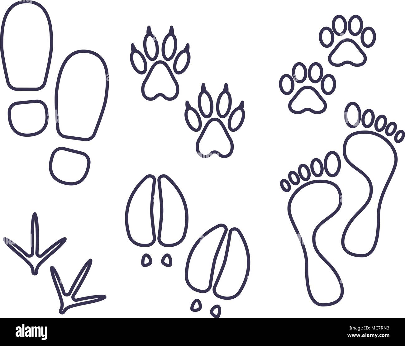 Traces of human and amimals, outline tracks, trials of cat, dog, bird, cow, human Stock Vector