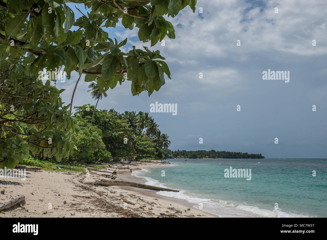 Postcard-style sandy beach with palms close to water, Mushu Island ...