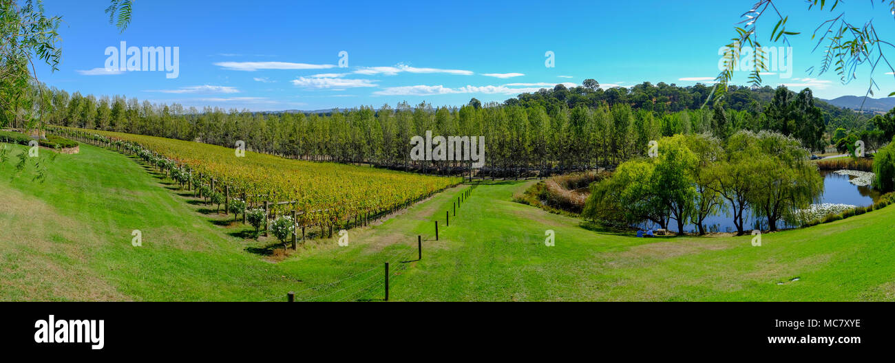 Tarrawarra Estate, Yarra Valley, Victoria, Australia Stock Photo