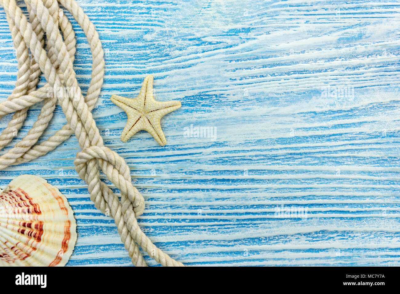 seashell and starfish, rope with knot on blue wooden background. summer vacation concept. Stock Photo
