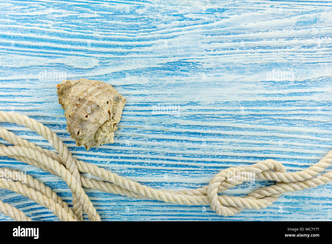 rope with marine knot and beautiful seashell on blue painted wooden background. flat lay Stock Photo