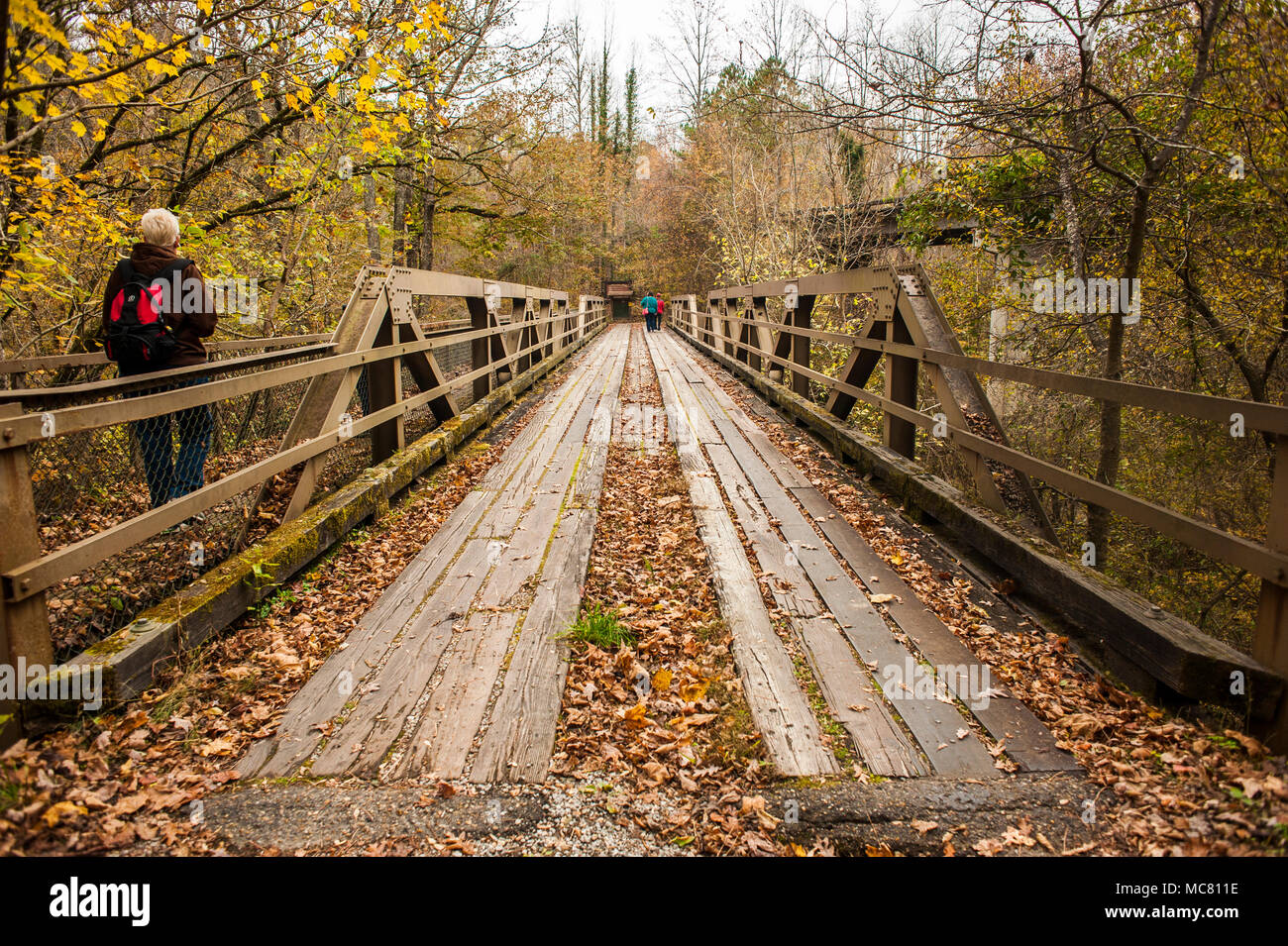 Hikers enjoy the fall weather in the Bankhead National Forest in