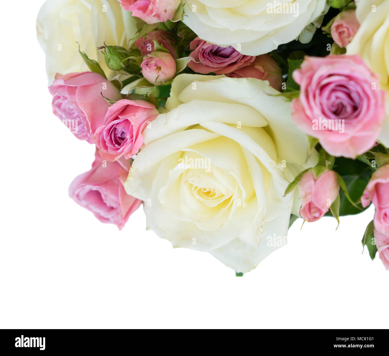 Pink and white rose flowers posy isolated on white background Stock ...