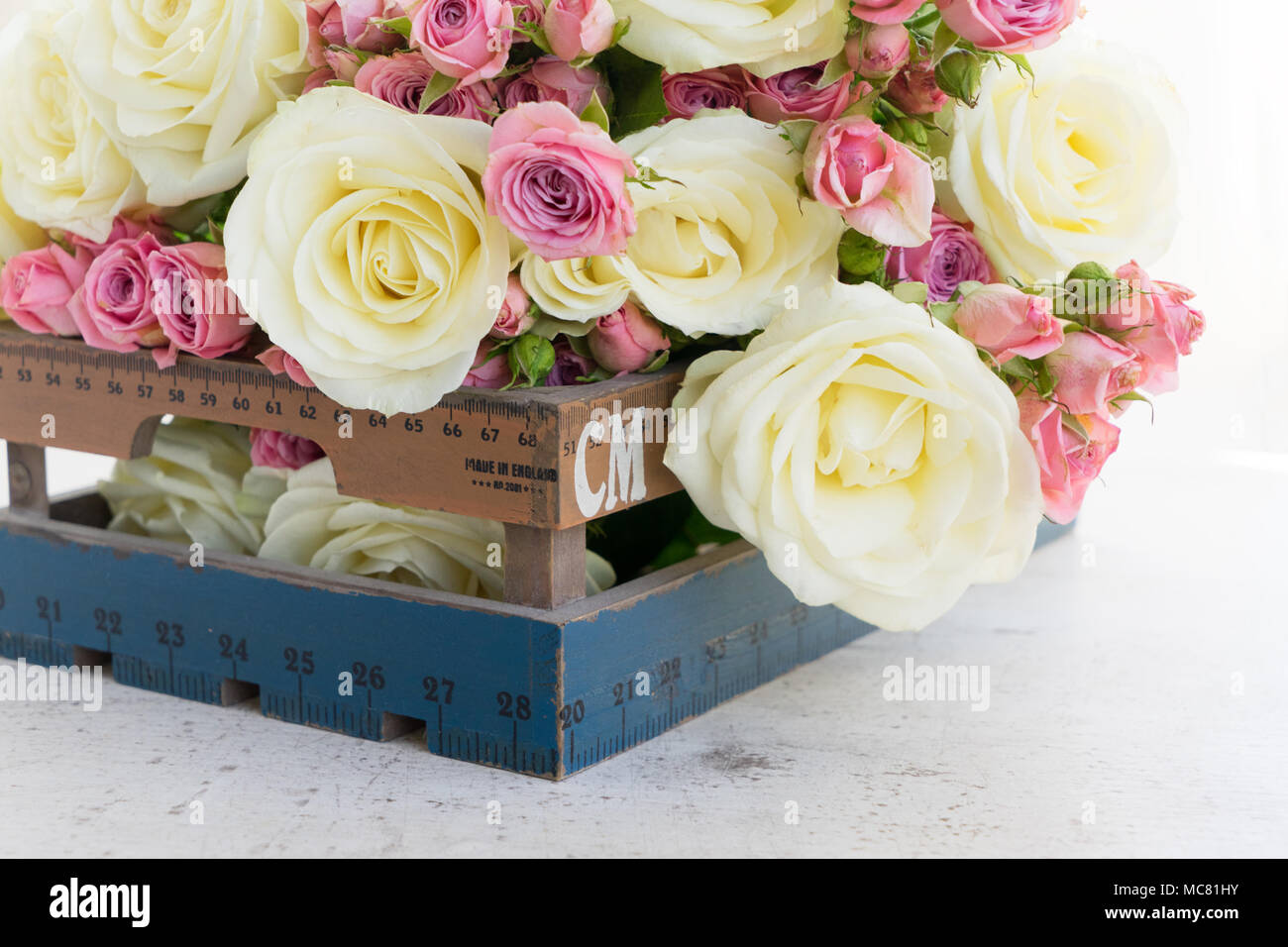 Pink and white rose flowers posy close on white background Stock Photo ...
