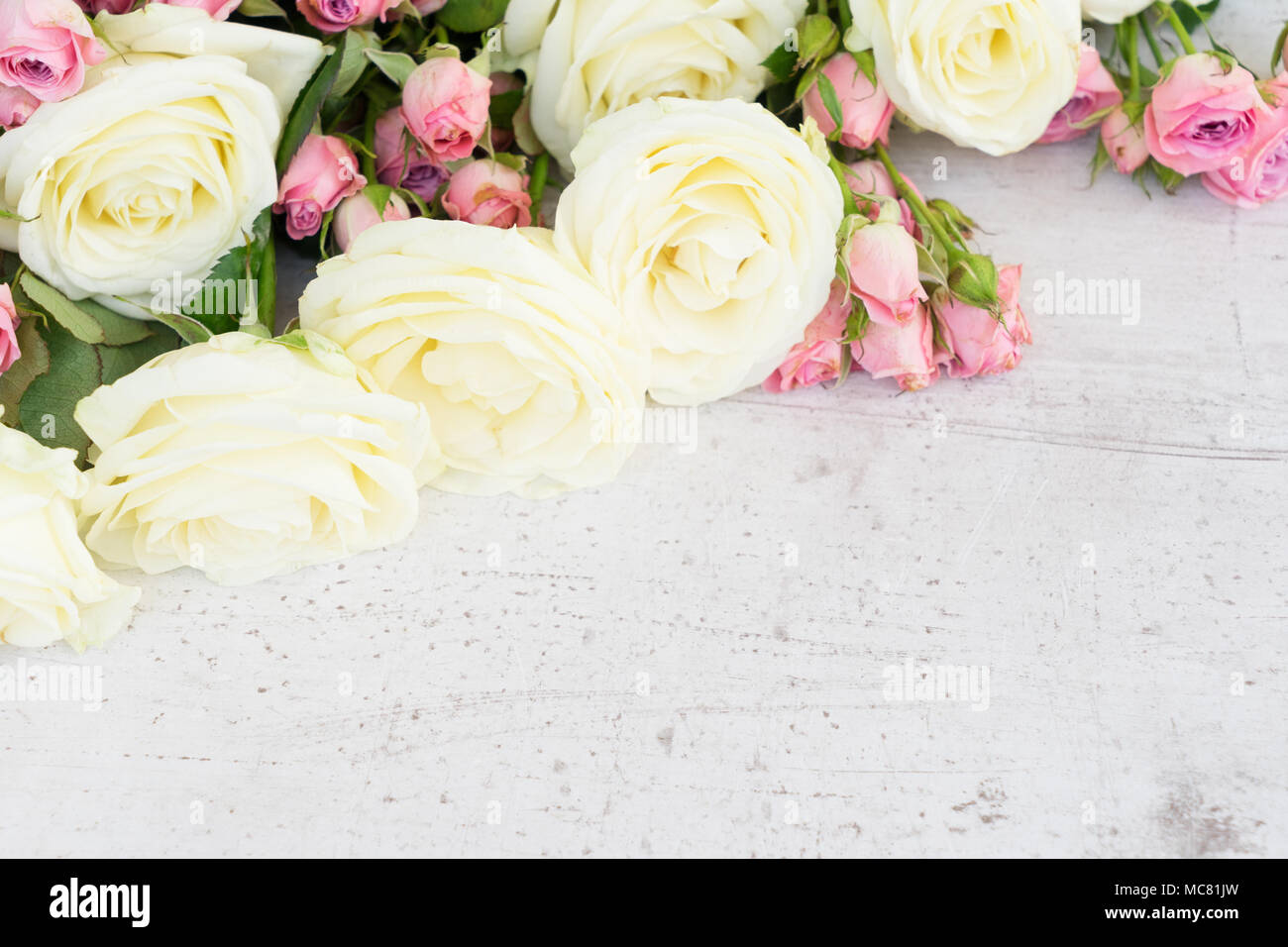 Pink and white rose flowers bouquet on white wooden background Stock ...