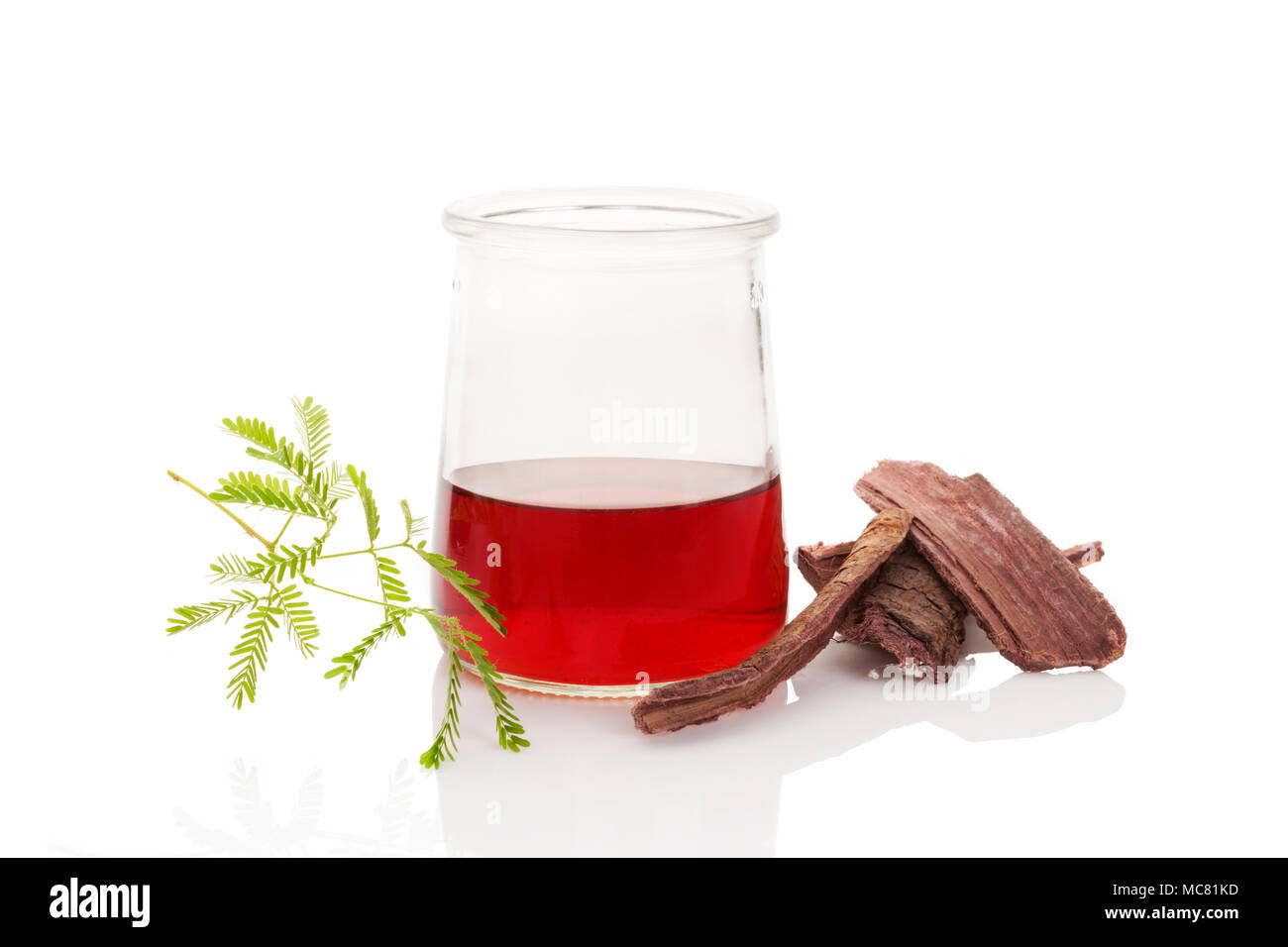 Psychedelic plants. Mimosa hostilis root bark and plant and ayahuasca brew isolated on white. Stock Photo