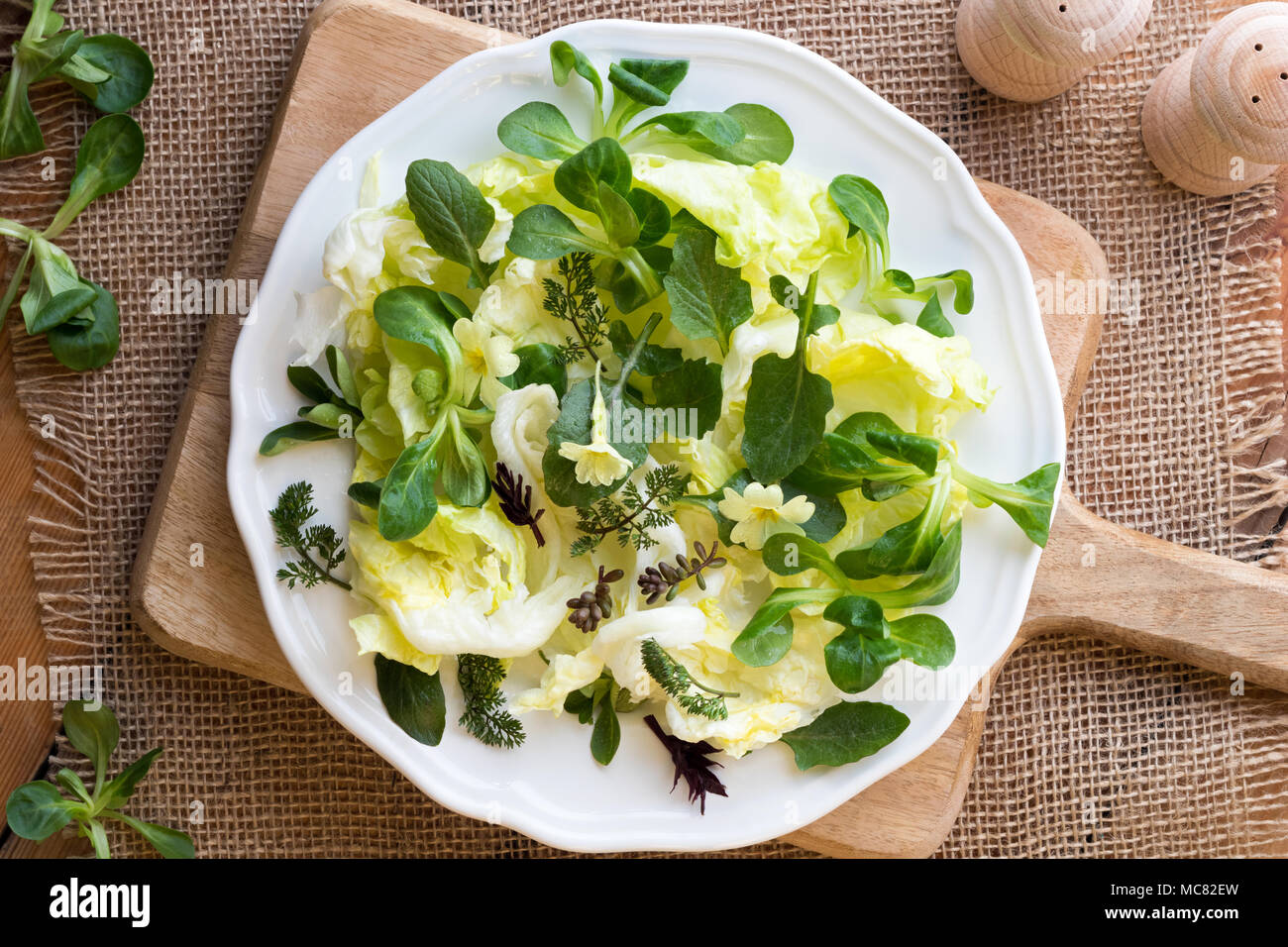 Spring salad with primula flowers, young nipplewort leaves and other wild edible plants Stock Photo