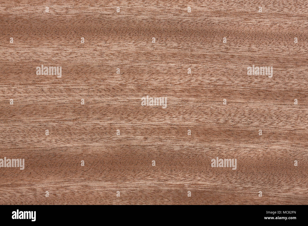 New veneer texture in your ideal colour. Stock Photo
