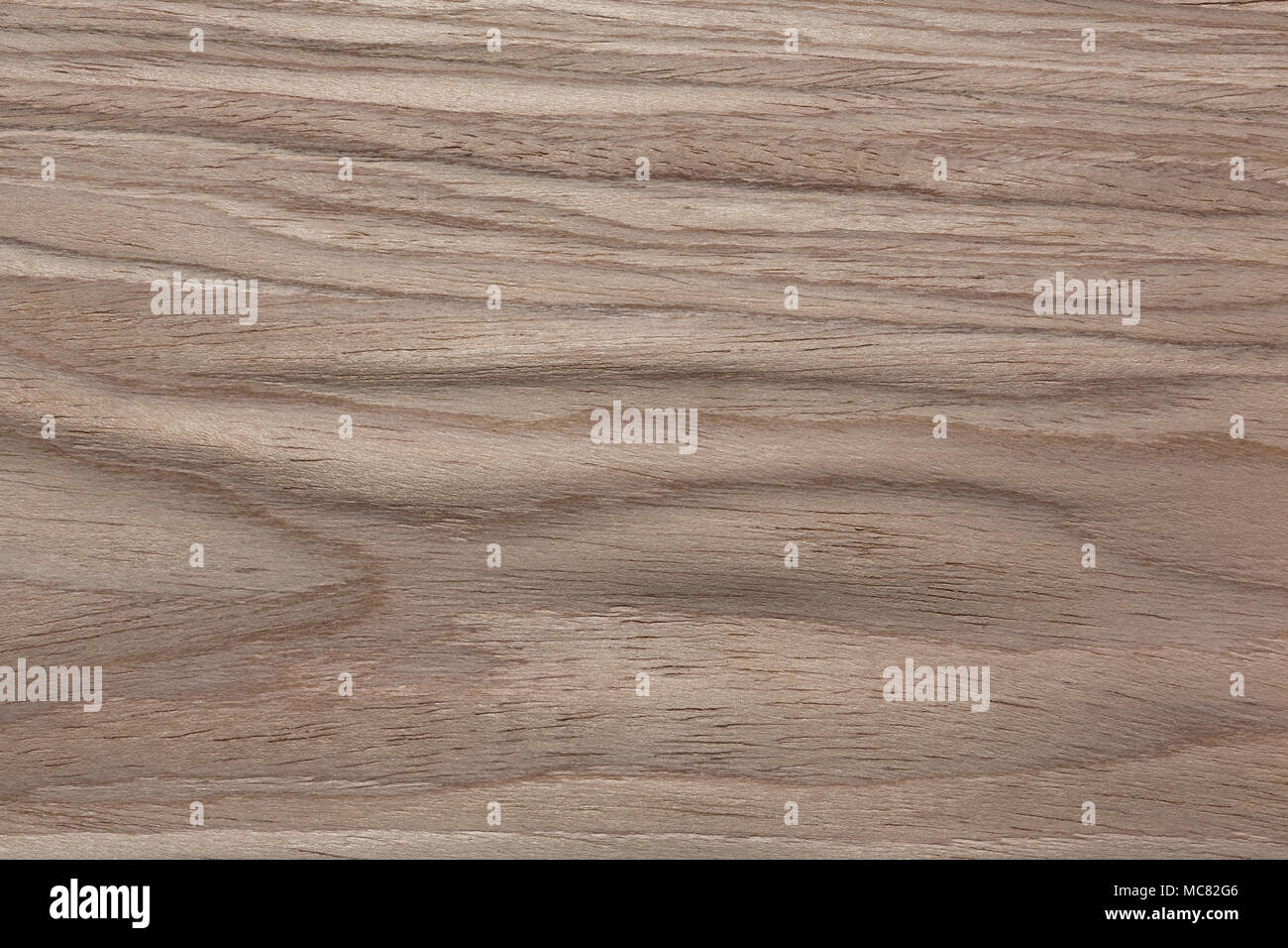 Awesome veneer texture in gentle light colours. Stock Photo