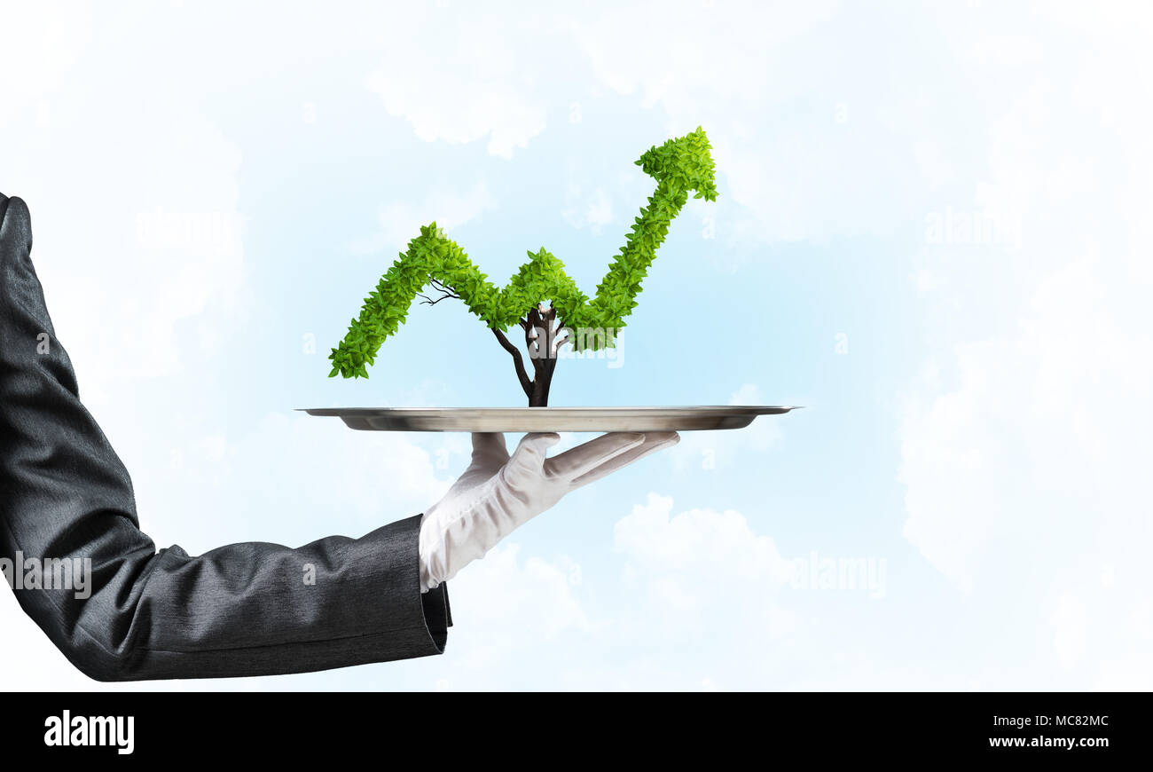 Hand of waitress presenting growing graph on tray Stock Photo - Alamy