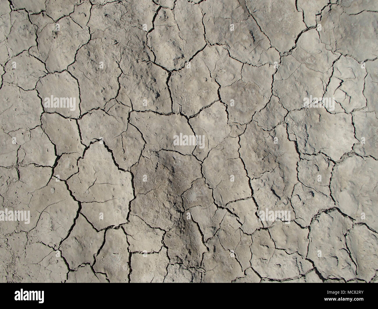 Cracked and Dry EarthTextured Background Stock Photo