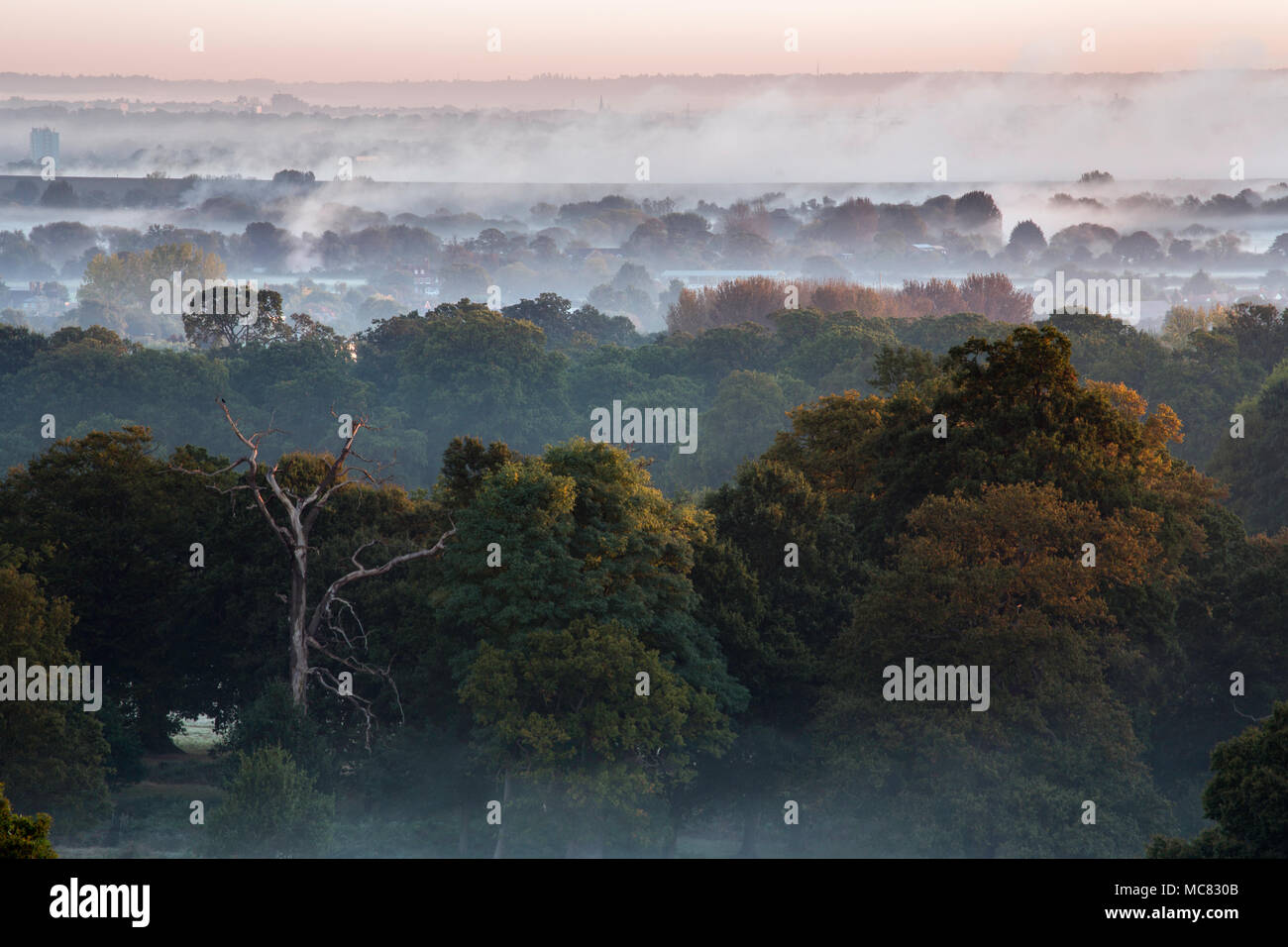 Early Morning Mist laying over Windsor Great Park near Windsor Castle in Berkshire England. Stock Photo