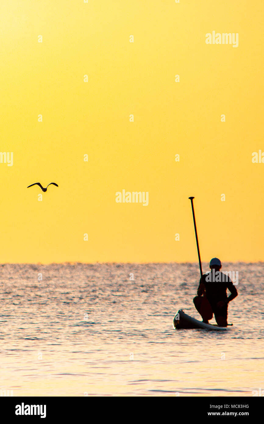 A stand up paddle boarder is silhouetted against the colorful early morning sunrise over Hollywood beach, Florida Stock Photo