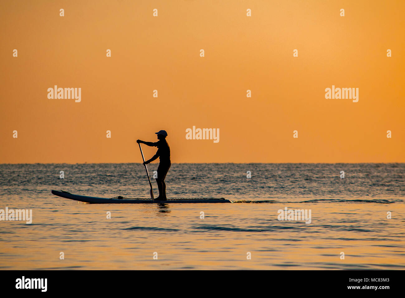 A stand up paddle boarder is silhouetted against the colorful early morning sunrise over Hollywood beach, Florida Stock Photo