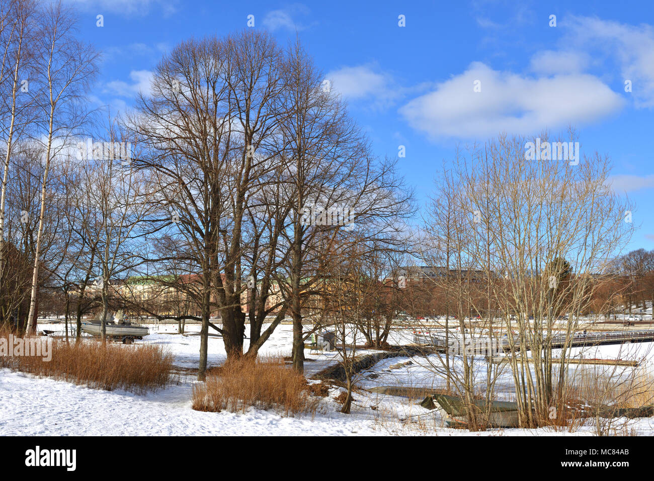 Spring. Uunisaari Island, Helsinki, Finland Stock Photo - Alamy