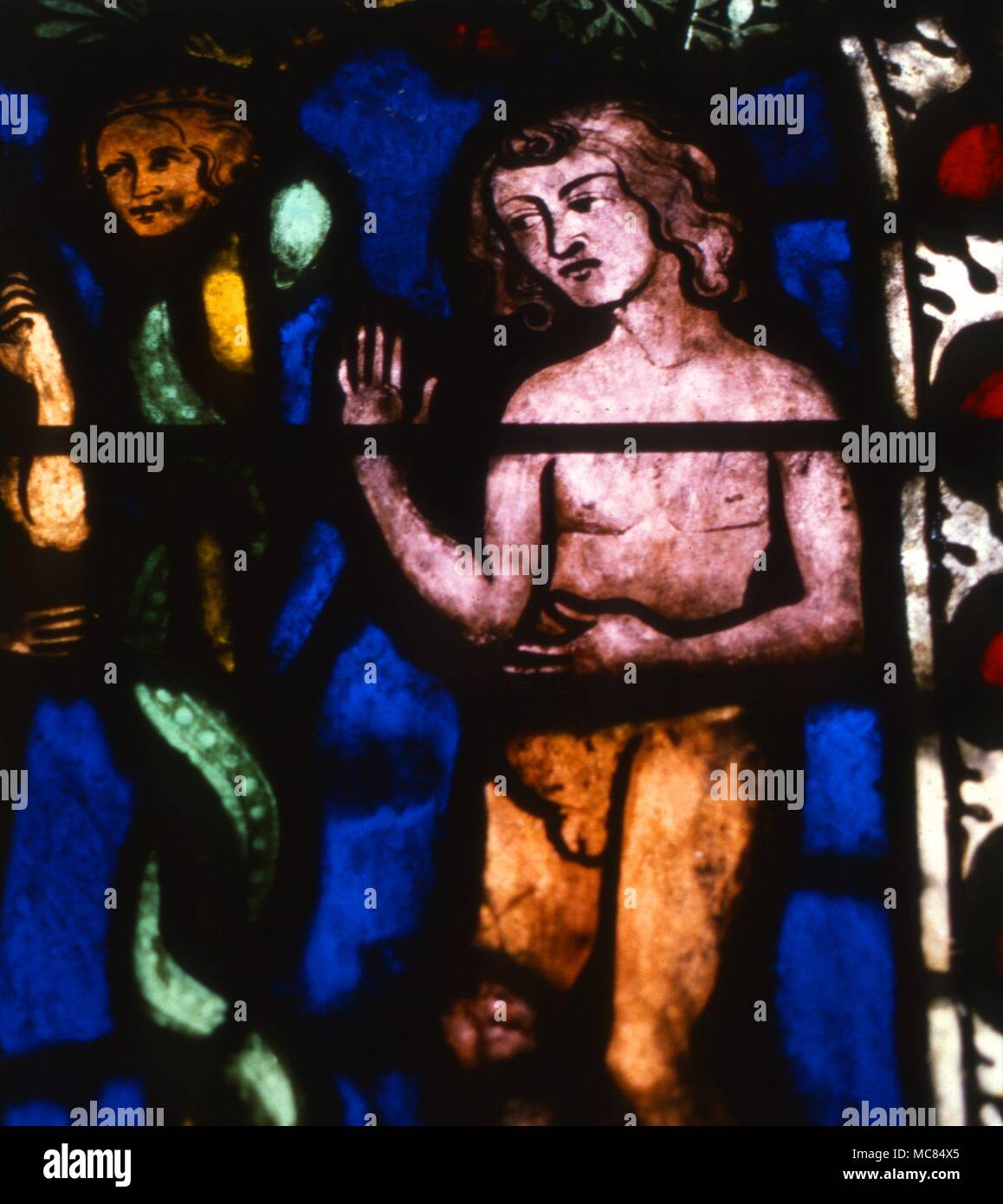 Satan in the form of the tempting serpent, curled around the Tree, tempting Eve to eat the fruit. Adam looks on in astonishmen. Fourteenth-century stained glass in the church of St. Etienne, in Mulhouse, France. Stock Photo