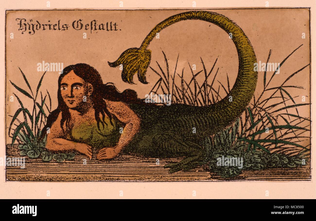 The demon Hydriel, sometimes described as a mermaid, but in fact possessed of lower legs, in addition to the tail. A hand-coloured lithographic plate from Schiebel's 'Faustbuch' of 1860. Stock Photo