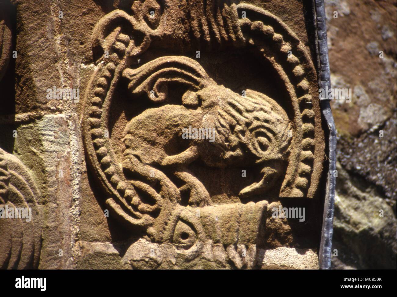 Detail of Demon on the main portal of the eleventh century church [Norman] at Kilpeck, near Hereford. Stock Photo