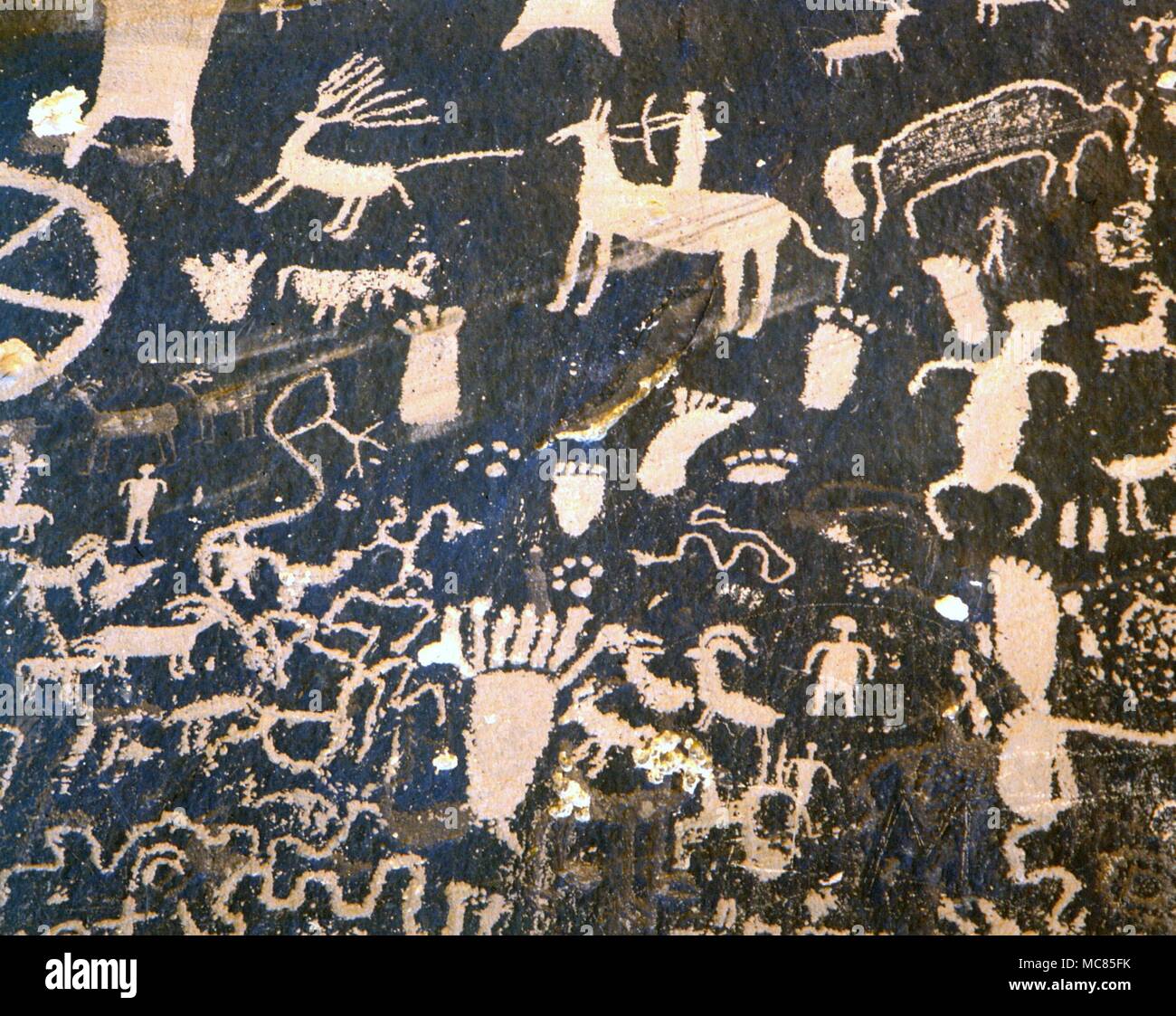 Petroglyphs - North American Indians. Incised and painted designs (petroglyphs) depicting gods, medecine-men, cattle, serpents, or serpent lines, and a variety of other symbols, including 'prints' of human feet. These petroglyphs are on the so-called Newspaper rock, in the Utah desert. Stock Photo