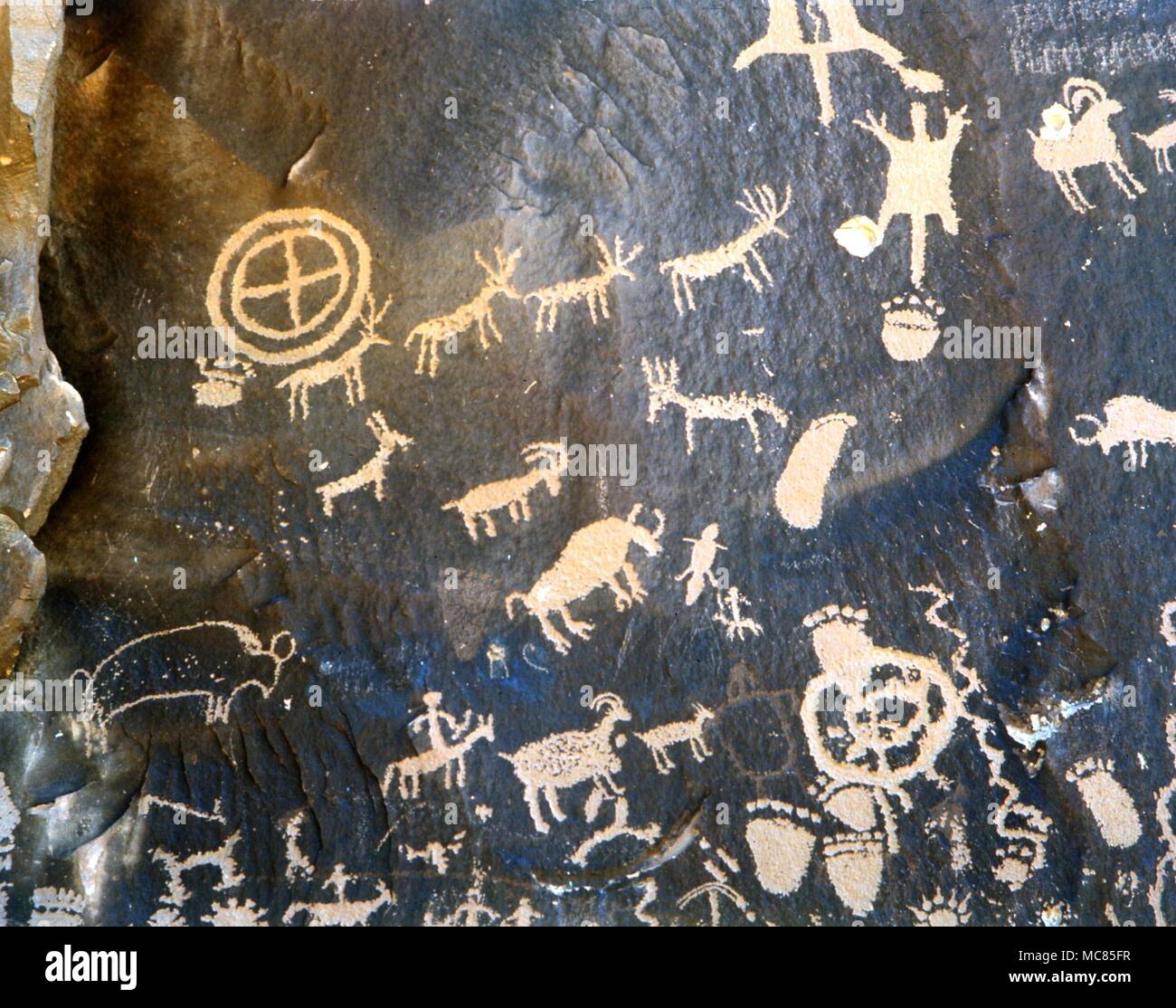 Petroglyphs - North American Indians. Incised and painted designs (petroglyphs) depicting gods, medecine-men, cattle, serpents, or serpent lines, and a variety of other symbols, including 'prints' of human feet. These petroglyphs are on the so-called Newspaper rock, in the Utah desert. Stock Photo